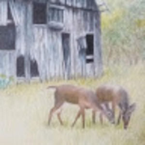 Meet your Posher, Denise